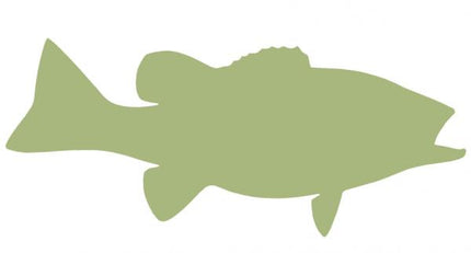 19-INCH SMALLMOUTH BASS BLANK, ECONOMICAL