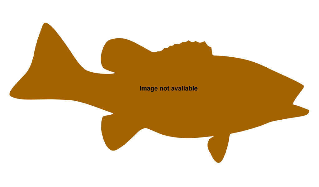 19-Inch Smallmouth Bass Fish Mount | King Sailfish Mounts