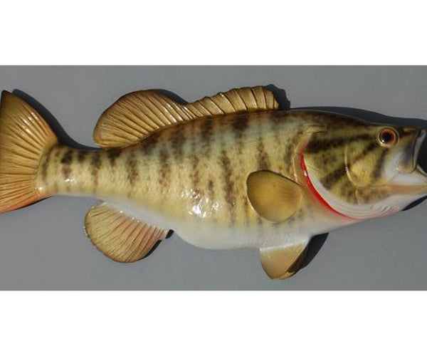SMALLMOUTH BASS, MINIATURE