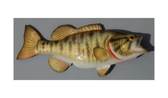 SMALLMOUTH BASS, MINIATURE