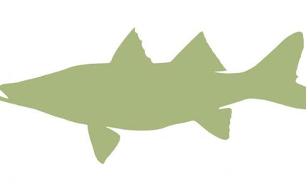 36-INCH SNOOK BLANK, ECONOMICAL