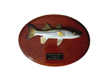 Collection image for: SNOOK TROPHIES