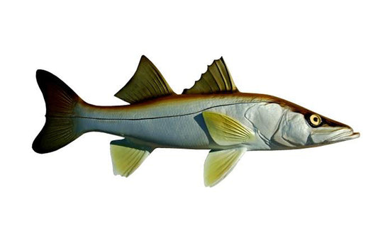 SNOOK, MINIATURE