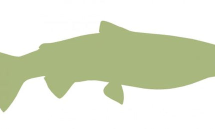 33-INCH STEELHEAD TROUT BLANK, ECONOMICAL
