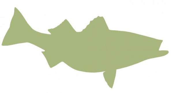 33-INCH STRIPED BASS BLANK, ECONOMICAL