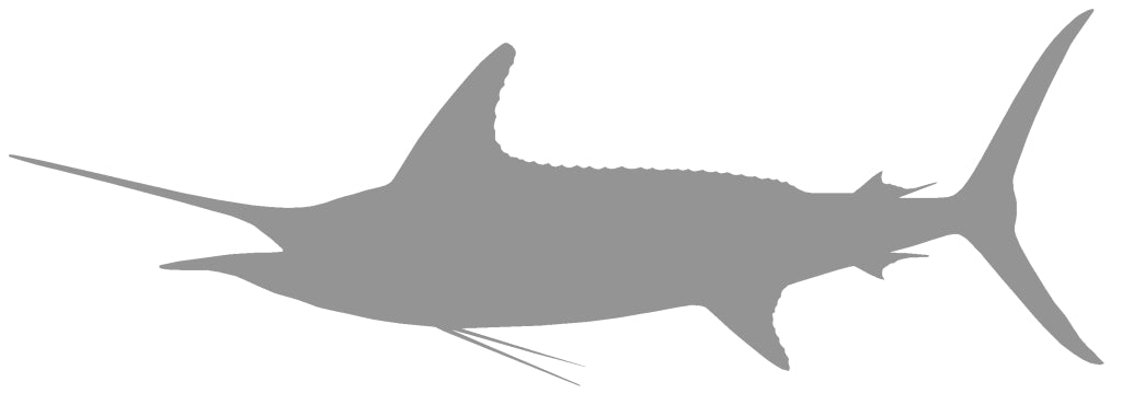 100-Inch Striped Marlin Blank Fish Mounts, Standard | King Sailfish Mounts