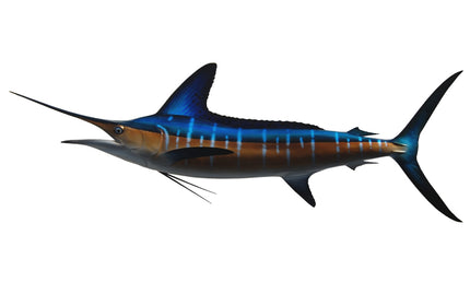 92-INCH STRIPED MARLIN