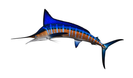 99-INCH STRIPED MARLIN