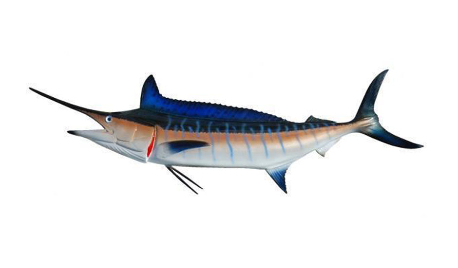 Mini Marlin Striped Marlin Miniature Fish Mounts | King Sailfish Mounts