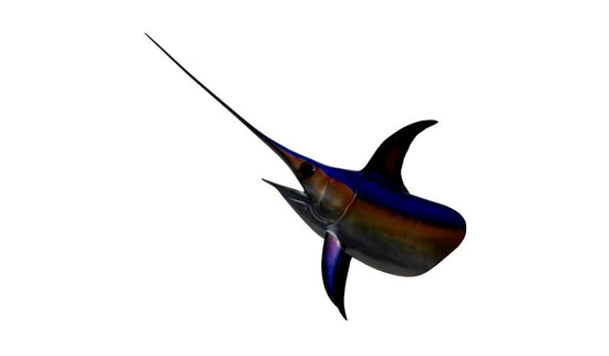 SWORDFISH HEAD MOUNT