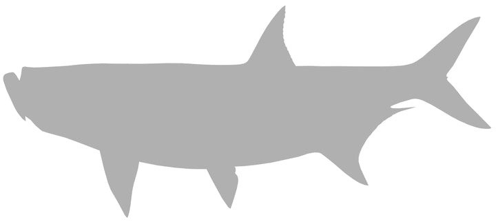 62-INCH TARPON BLANK, STANDARD