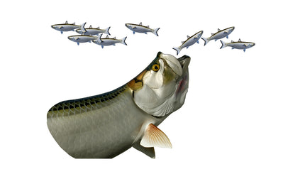 TARPON HEAD MOUNT