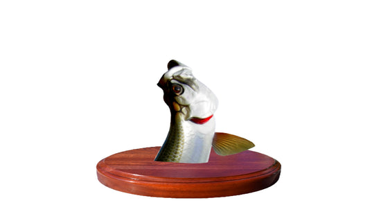 10-INCH TARPON TROPHY