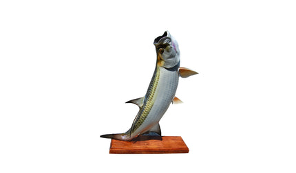 42-INCH TARPON TROPHY