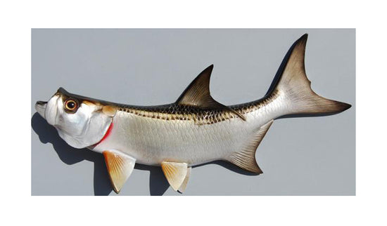 TARPON, MINIATURE
