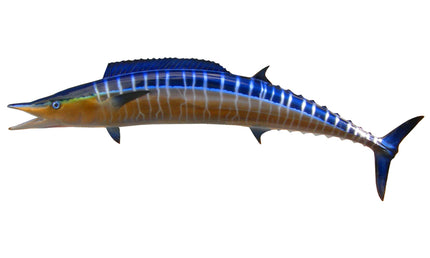 54-INCH WAHOO