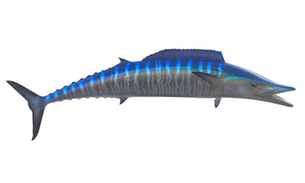 58-INCH WAHOO