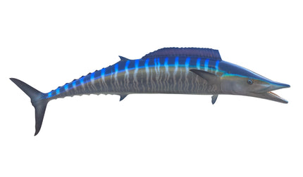 58-INCH WAHOO