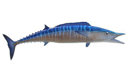 69-INCH WAHOO