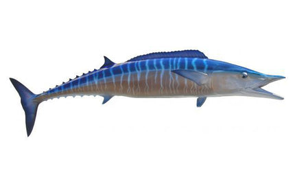 69-INCH WAHOO