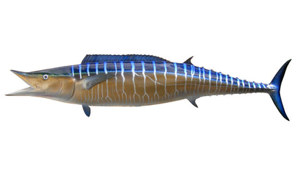 74-INCH WAHOO