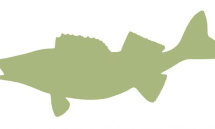 29-INCH WALLEYE BLANK, ECONOMICAL