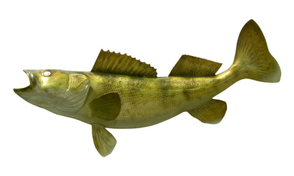 25-INCH WALLEYE