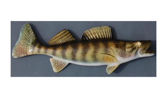WALLEYE, MINIATURE