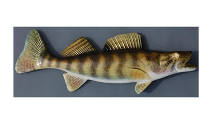 WALLEYE, MINIATURE