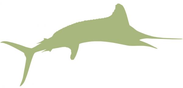 73-INCH WHITE MARLIN BLANK, ECONOMICAL