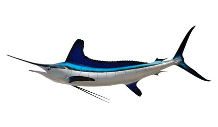 79-INCH WHITE MARLIN