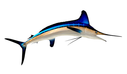 83-INCH WHITE MARLIN
