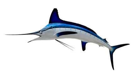 87-INCH WHITE MARLIN