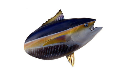 YELLOWFIN TUNA HEAD MOUNT