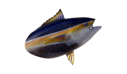 YELLOWFIN TUNA HEAD MOUNT