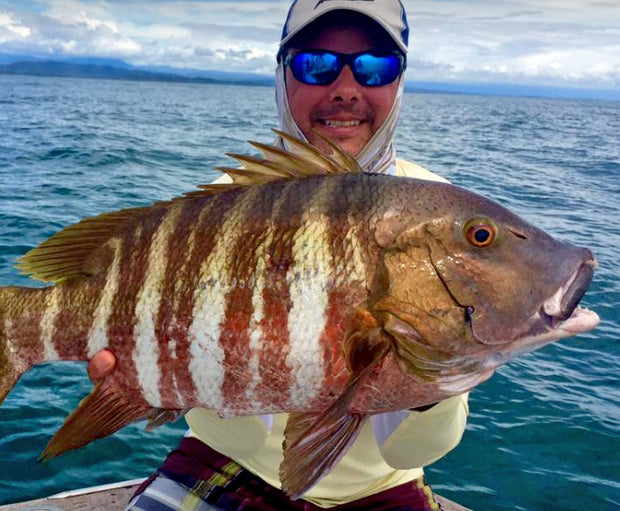 Gordon Rocks Snapper Greenbar Rock Snapper Fish Mounts | King Sailfish Mounts