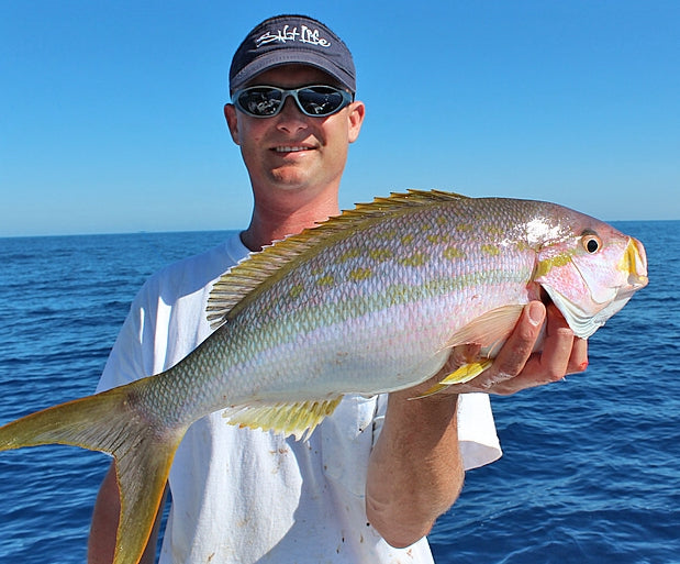 Yellowtail Snapper Fish Mounts | King Sailfish Mounts